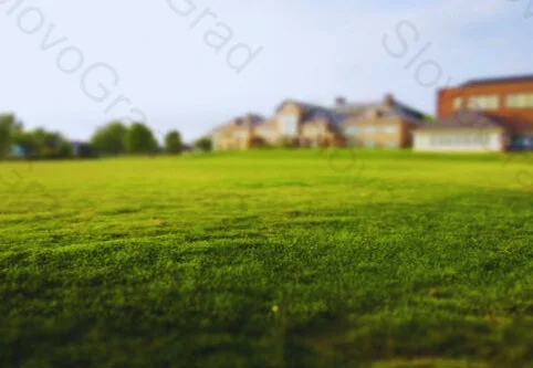 Як обрати нерухомість під свої потреби